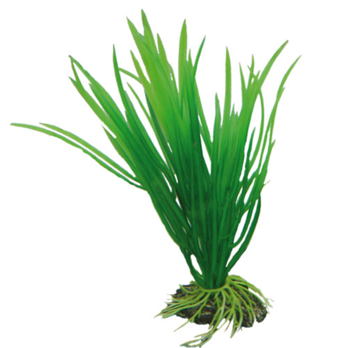 Levně Hobby dekorace do akvária Cyperus, 16 cm