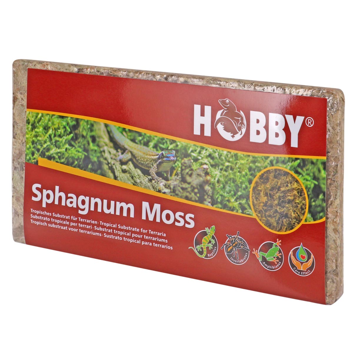 Levně Hobby mech Sphagnum Moss 100 g