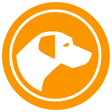 Abenteuer für deinen Hund