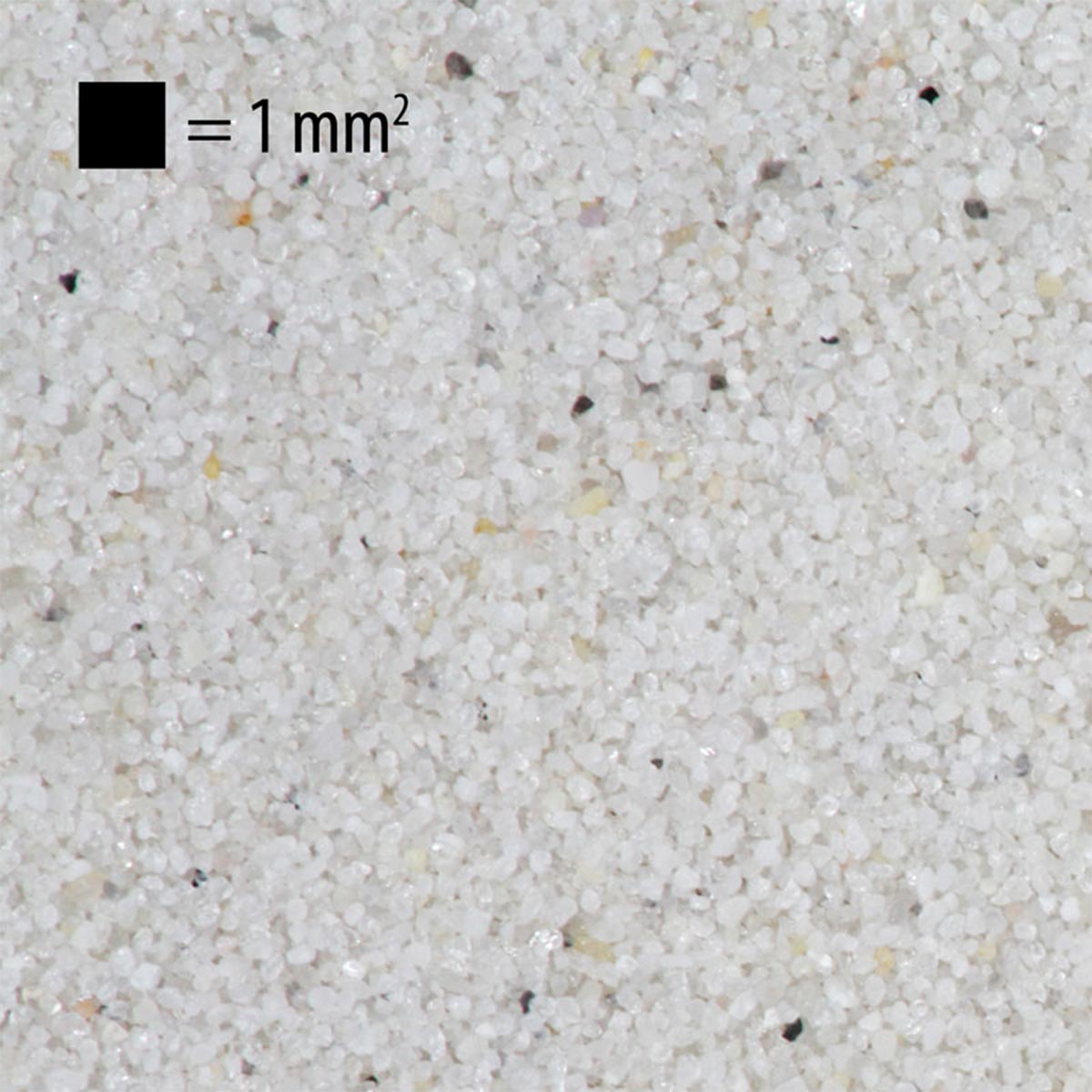JBL Sansibar White 10kg günstig kaufen bei ZooRoyal