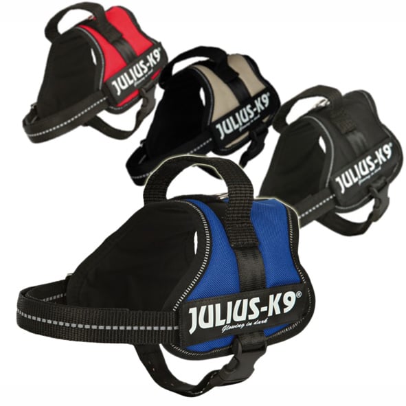 Julius-K9 Powergeschirr postroj pro psy, vel. Mini M 51–67 cm modrá