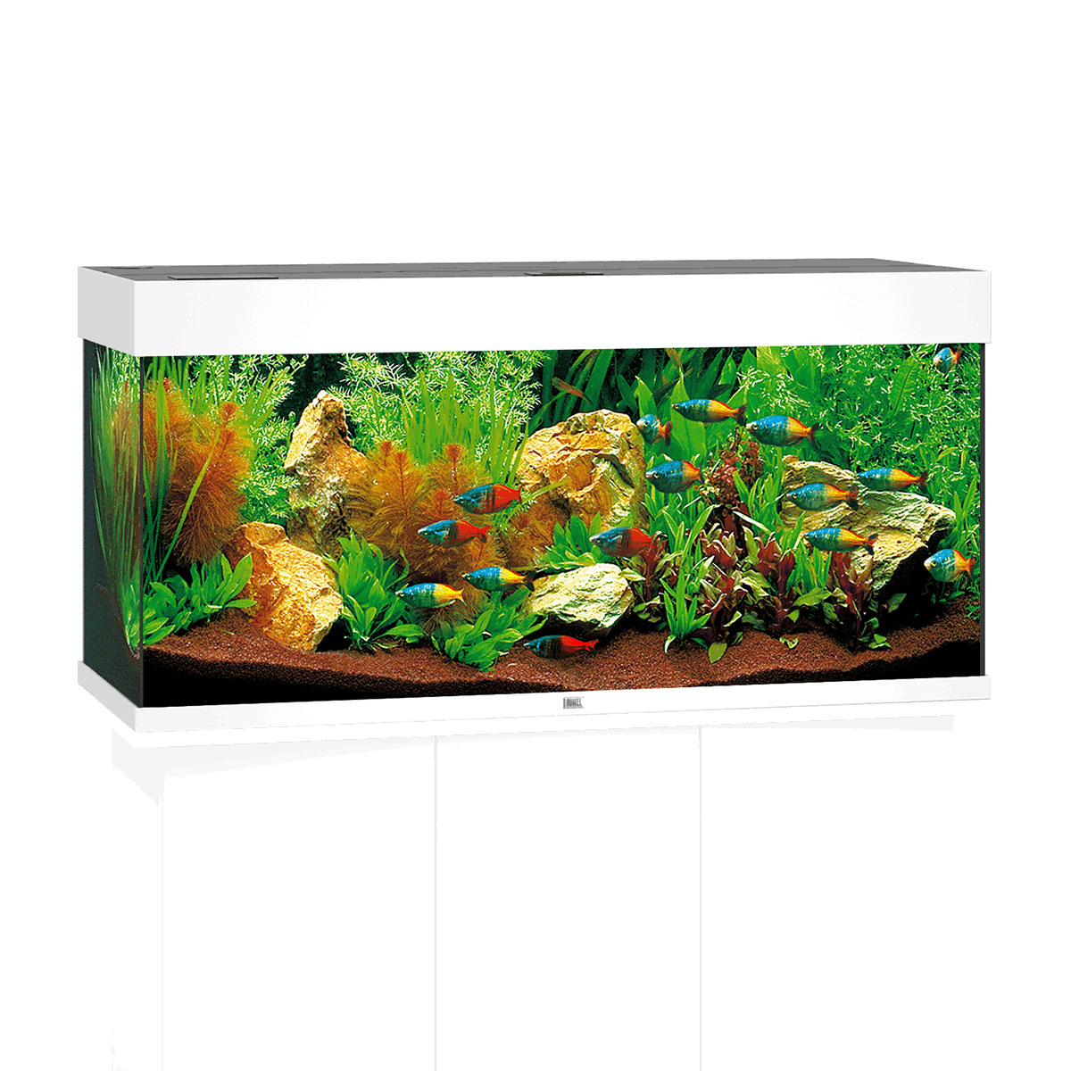 Juwel Rio 180 LED Komplett Aquarium ohne Schrank weiß Juwel Rio 180 LED Komplett Aquarium ohne Schrank weiß