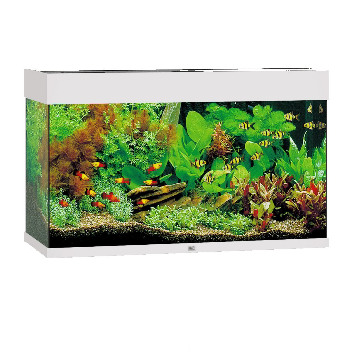 Juwel Rio 125 LED Komplett Aquarium ohne Schrank weiß Juwel Rio 125 LED Komplett Aquarium ohne Schrank weiß