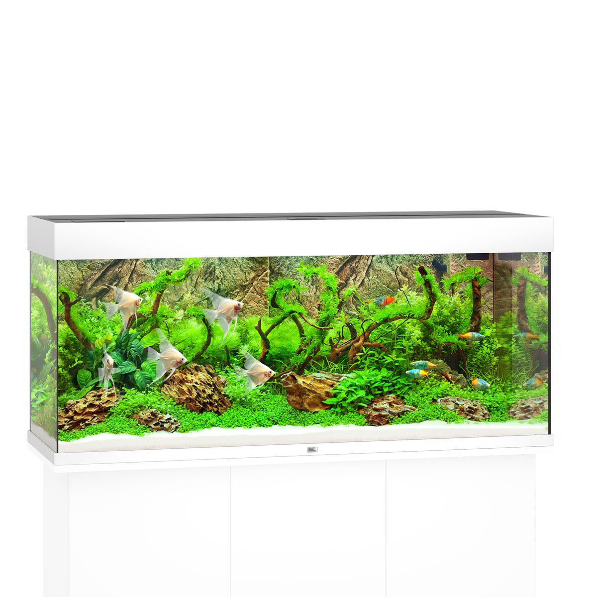 Juwel Rio 240 LED Komplett Aquarium ohne Schrank weiß Juwel Rio 240 LED Komplett Aquarium ohne Schrank weiß