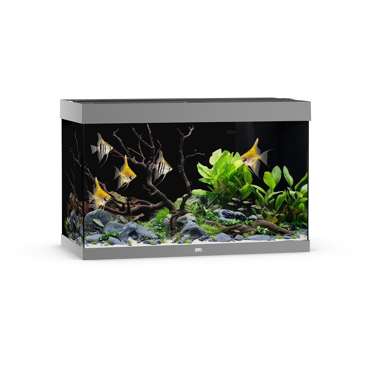 Juwel Rio 290 LED Aquarium Grau