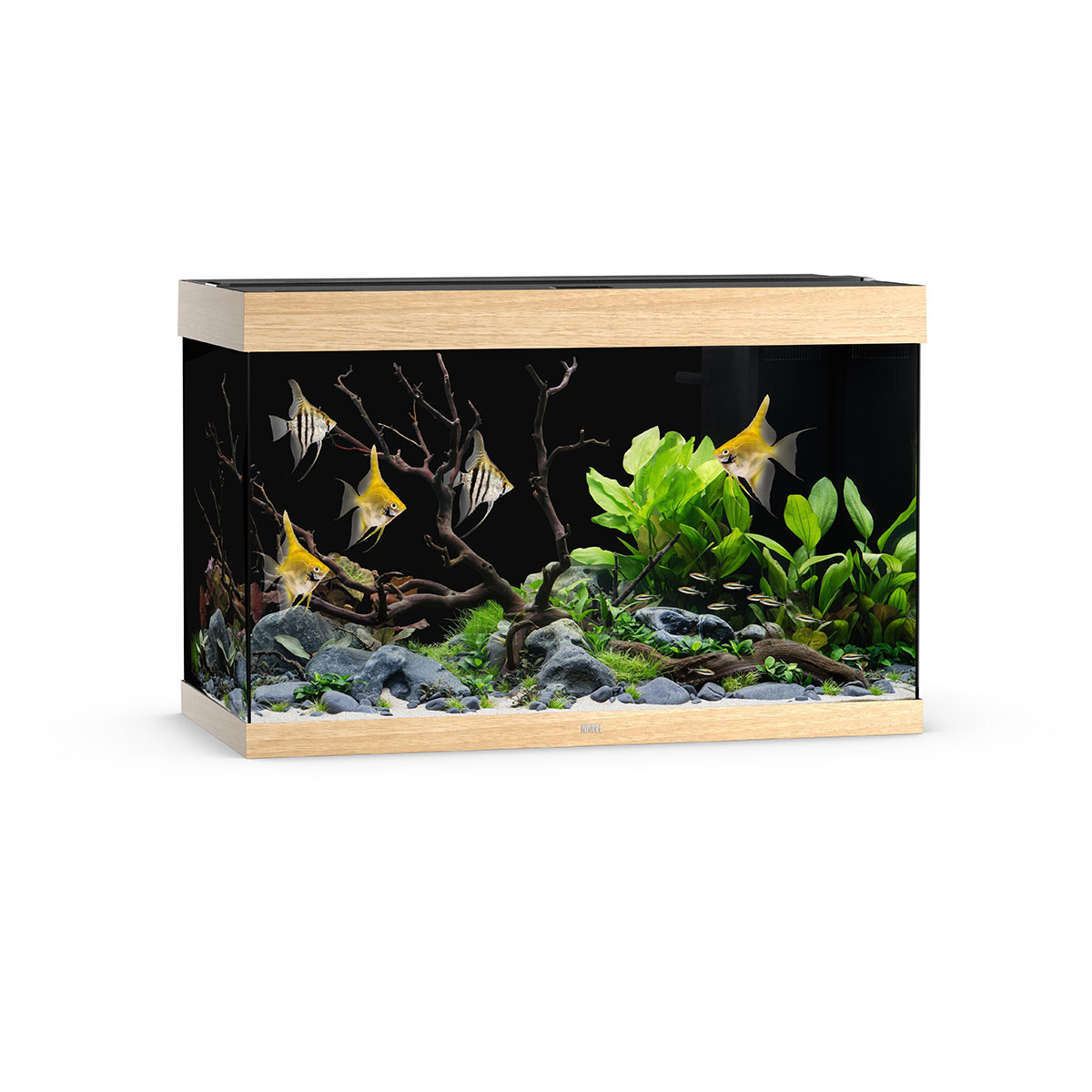 Juwel Rio 290 LED Aquarium Helles Holz