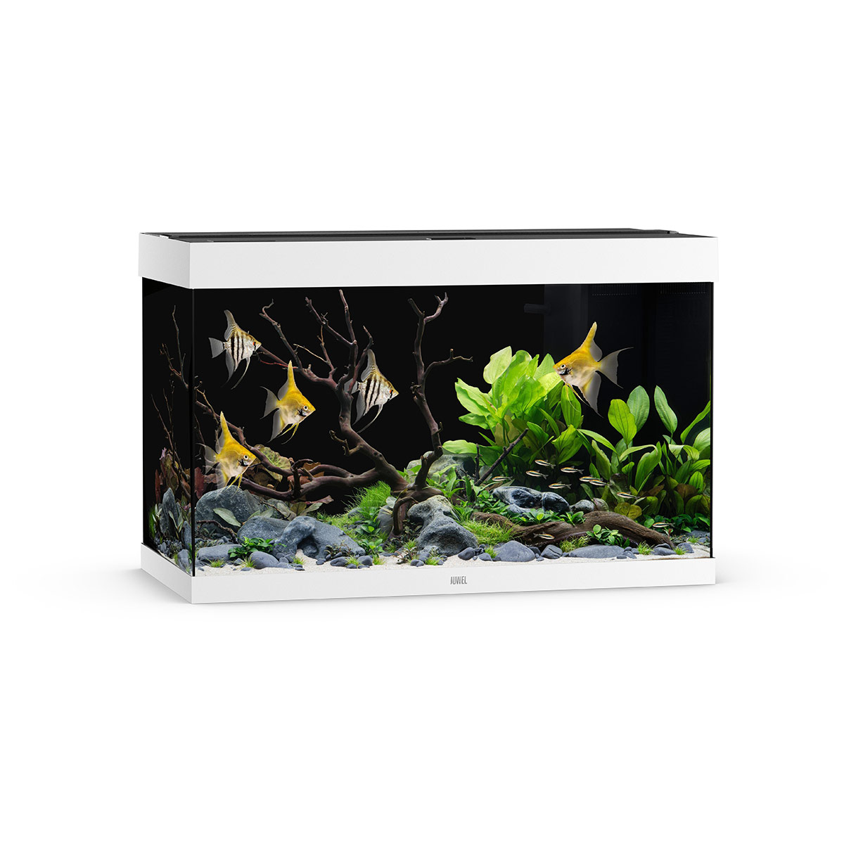 Juwel Rio 290 LED Aquarium Weiß
