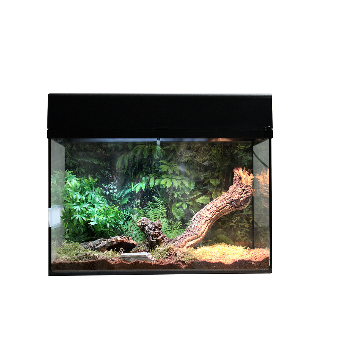 Lucky Reptile Terrarium Starter Kit 50 cm 