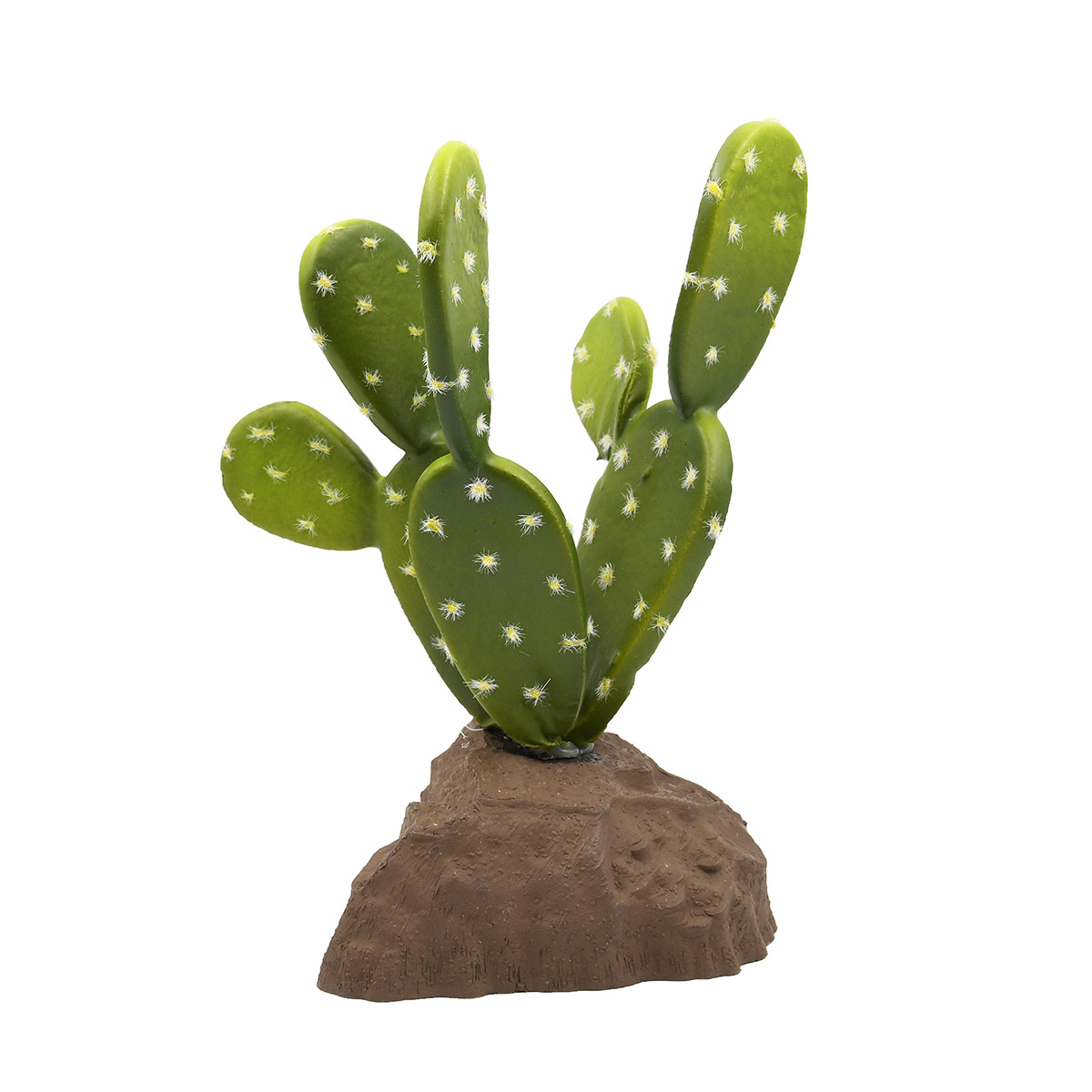 Lucky Reptile Biberschwanzkaktus 15 cm