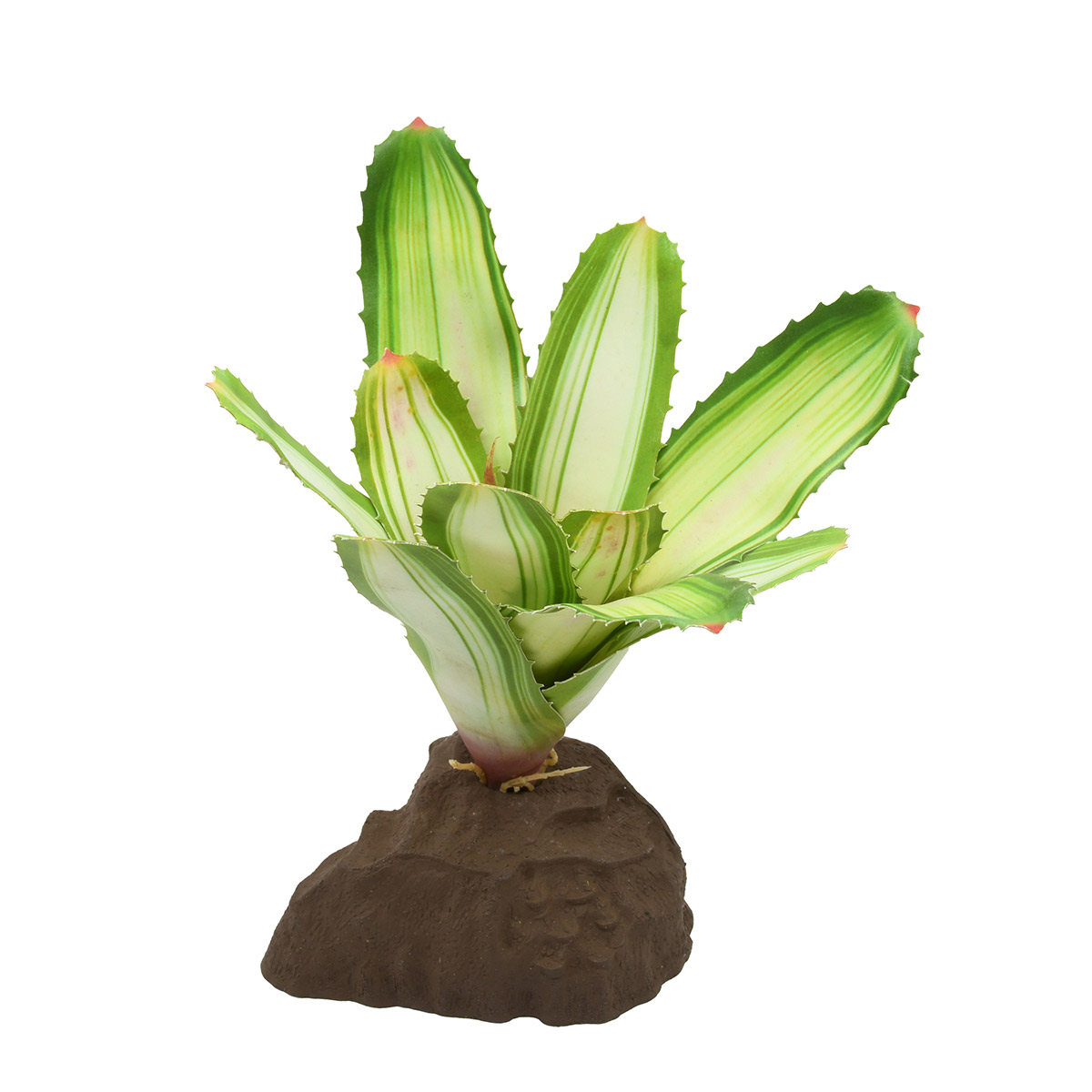 Lucky Reptile Bromelie Neoregelia weiß 20 cm