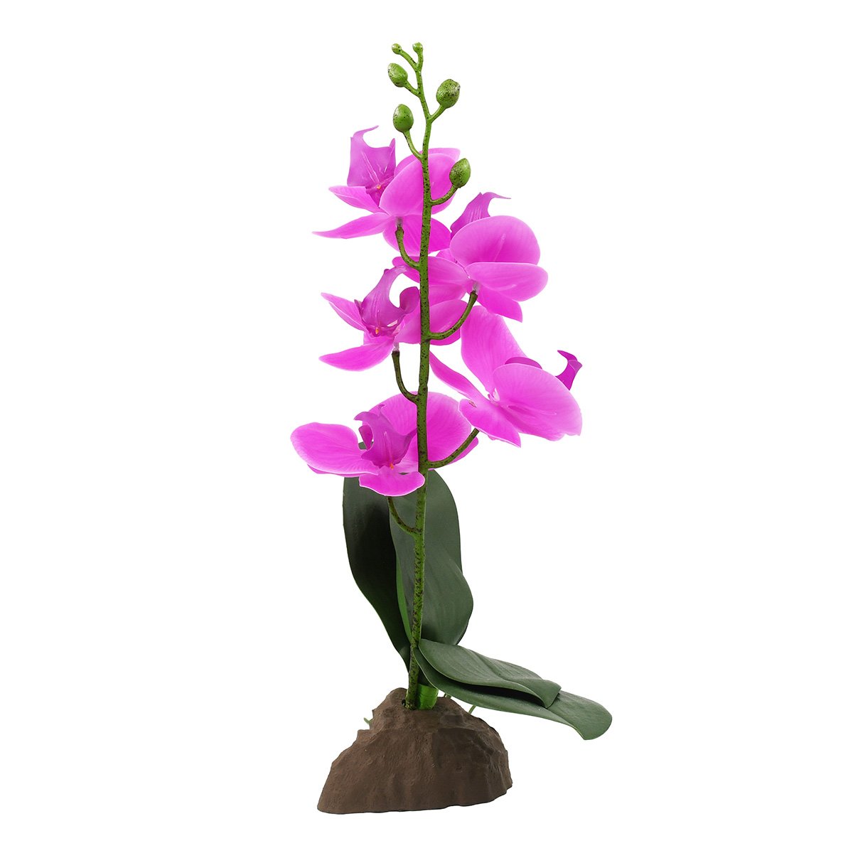 Lucky Reptile Orchidee klein lila 35 cm