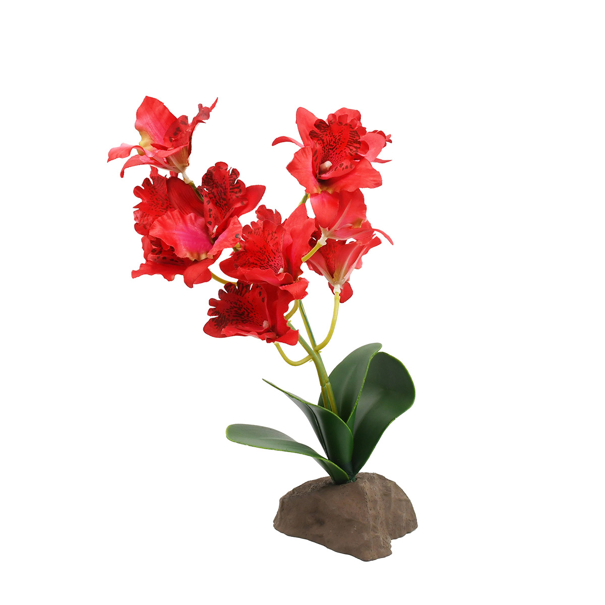 Lucky Reptile Orchidee groß rot 30 cm