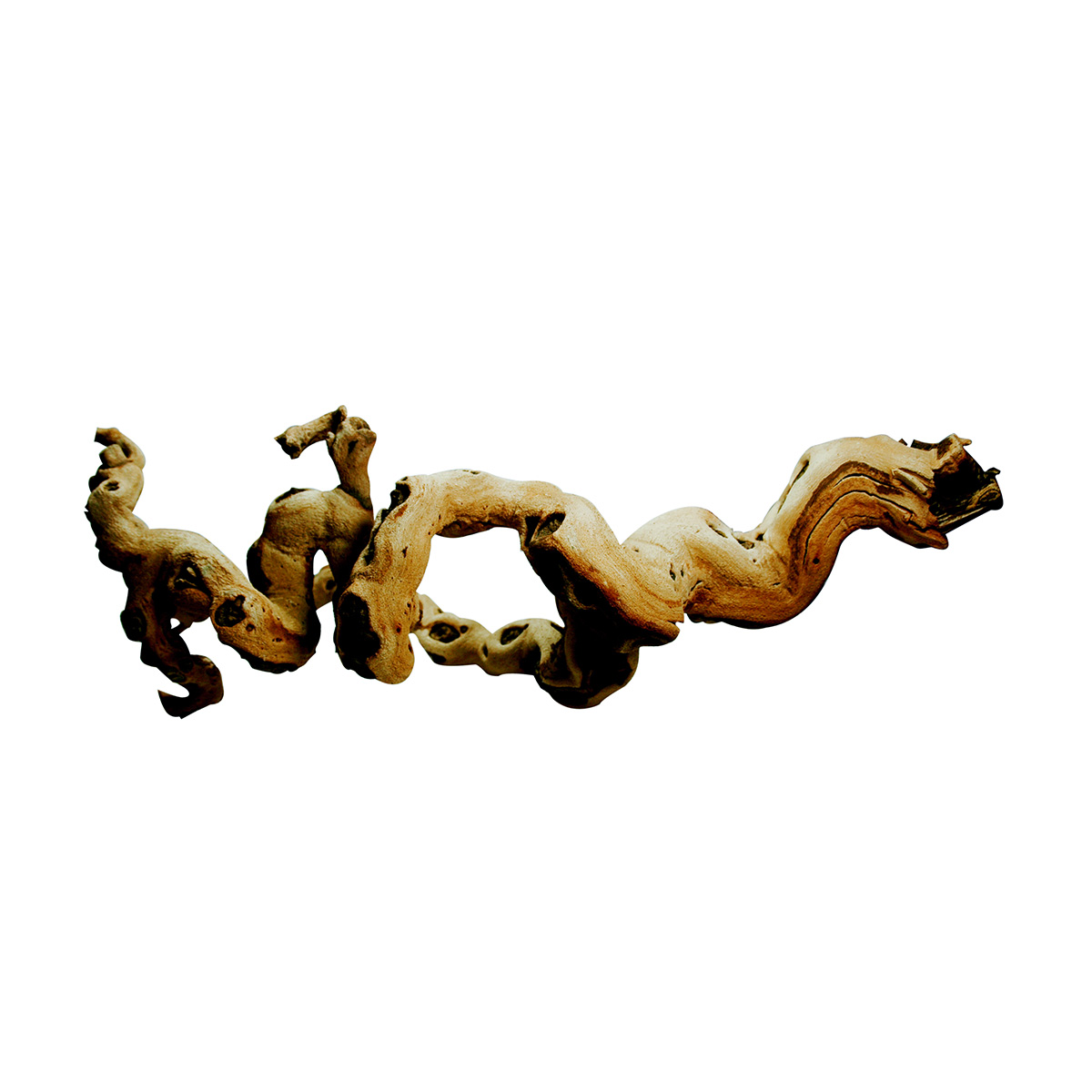 Lucky Reptile Premium Rebholz