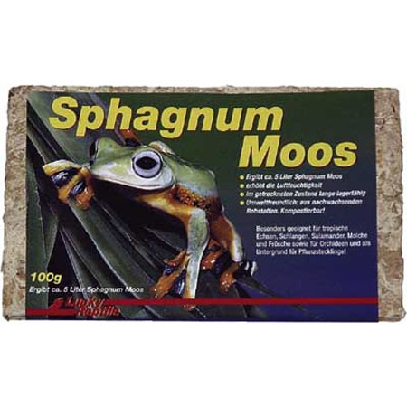 Lucky Reptile Sphagnum Moos 100 g