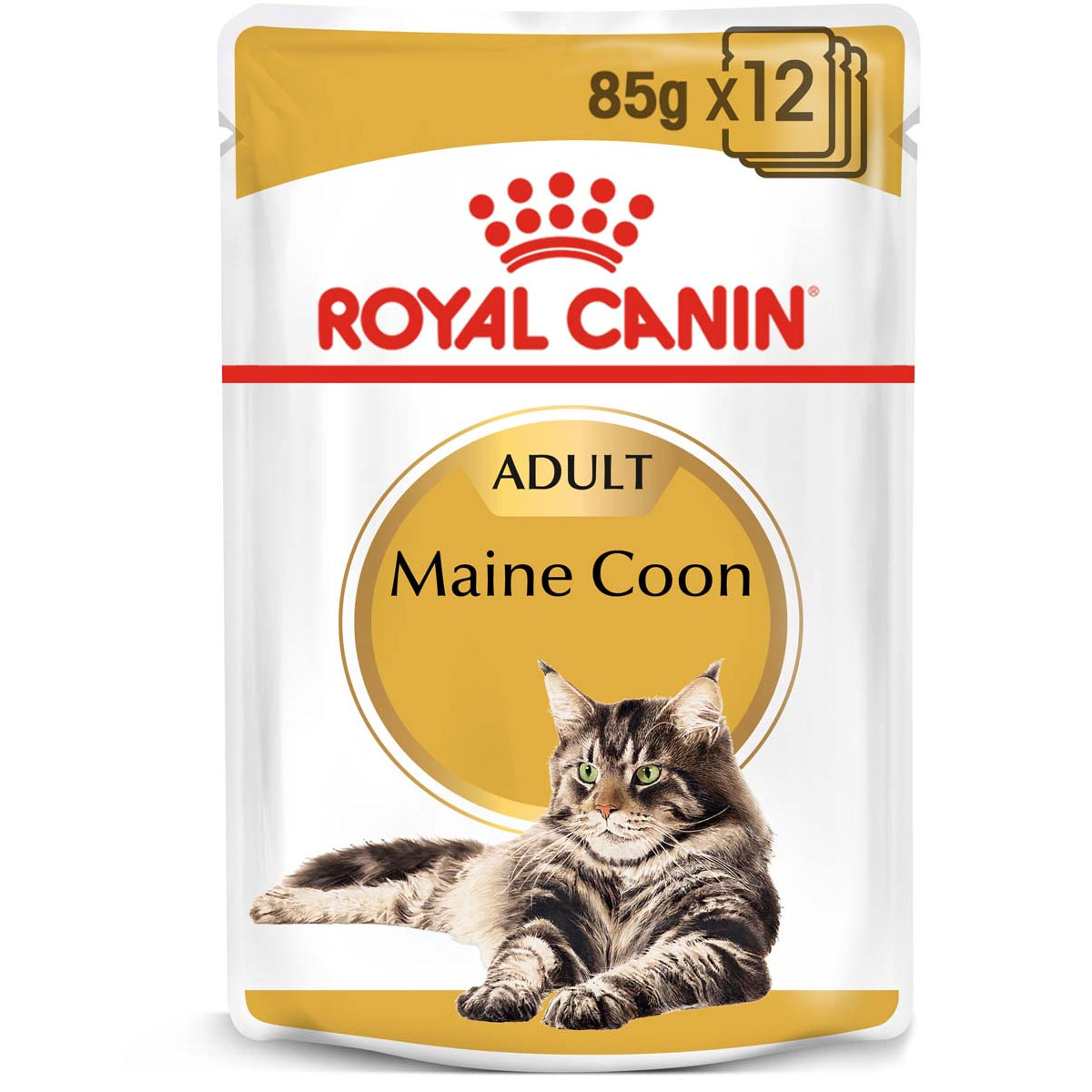 Levně ROYAL CANIN Maine Coon Adult granule pro kočky 12 × 85 g