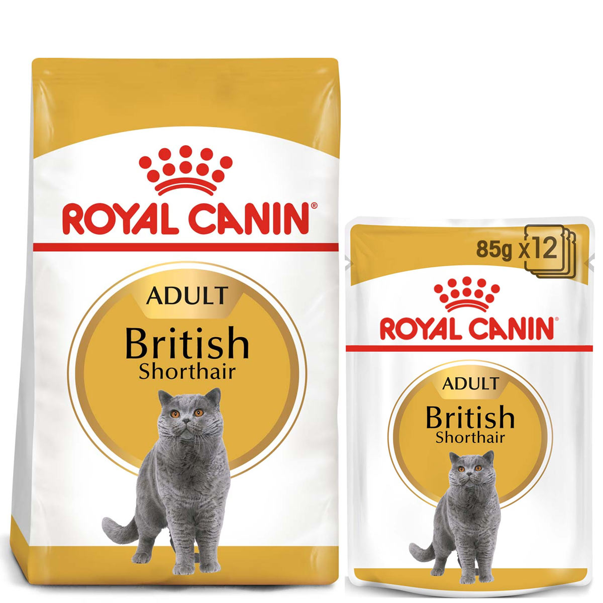 ROYAL CANIN ADULT British Shorthair 10 kg + kapsičky v omáčce 12× 85 g