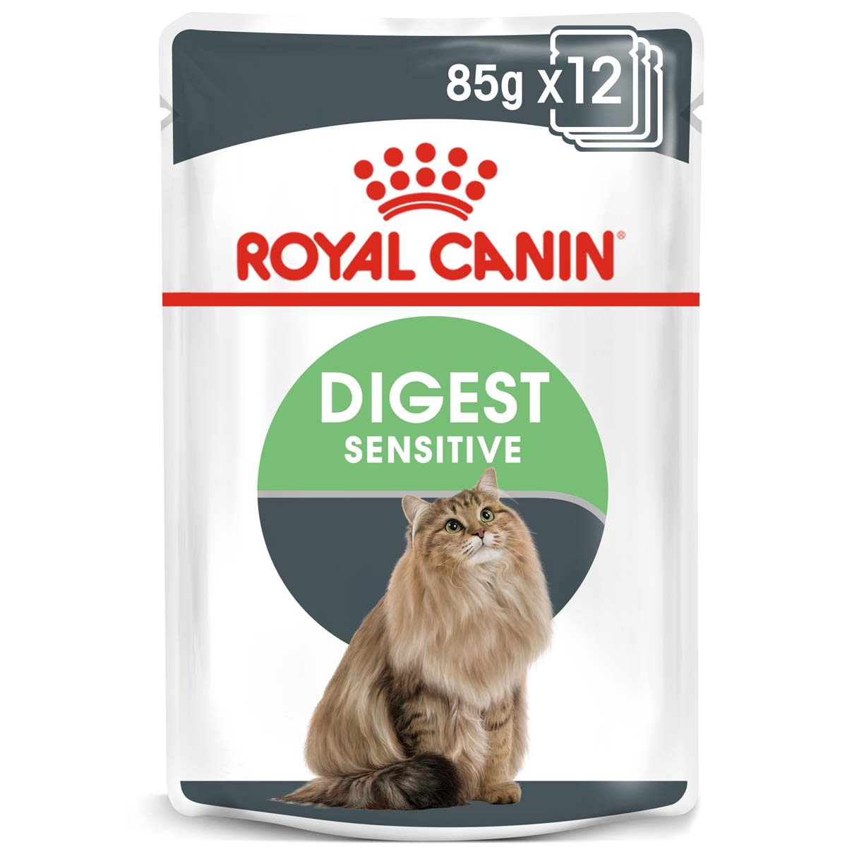 ROYAL CANIN Digest Sensitive pro kočky s citlivým zažíváním 48 × 85 g