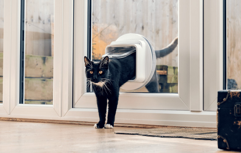 Sure petcare microchip pet door hotsell