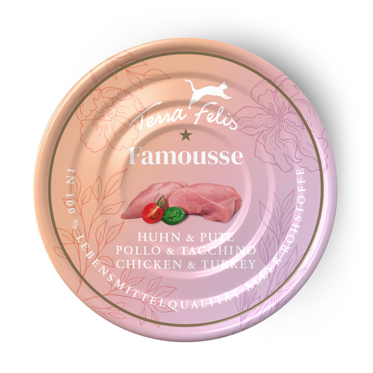 Terra Felis Famousse Huhn &amp; Pute