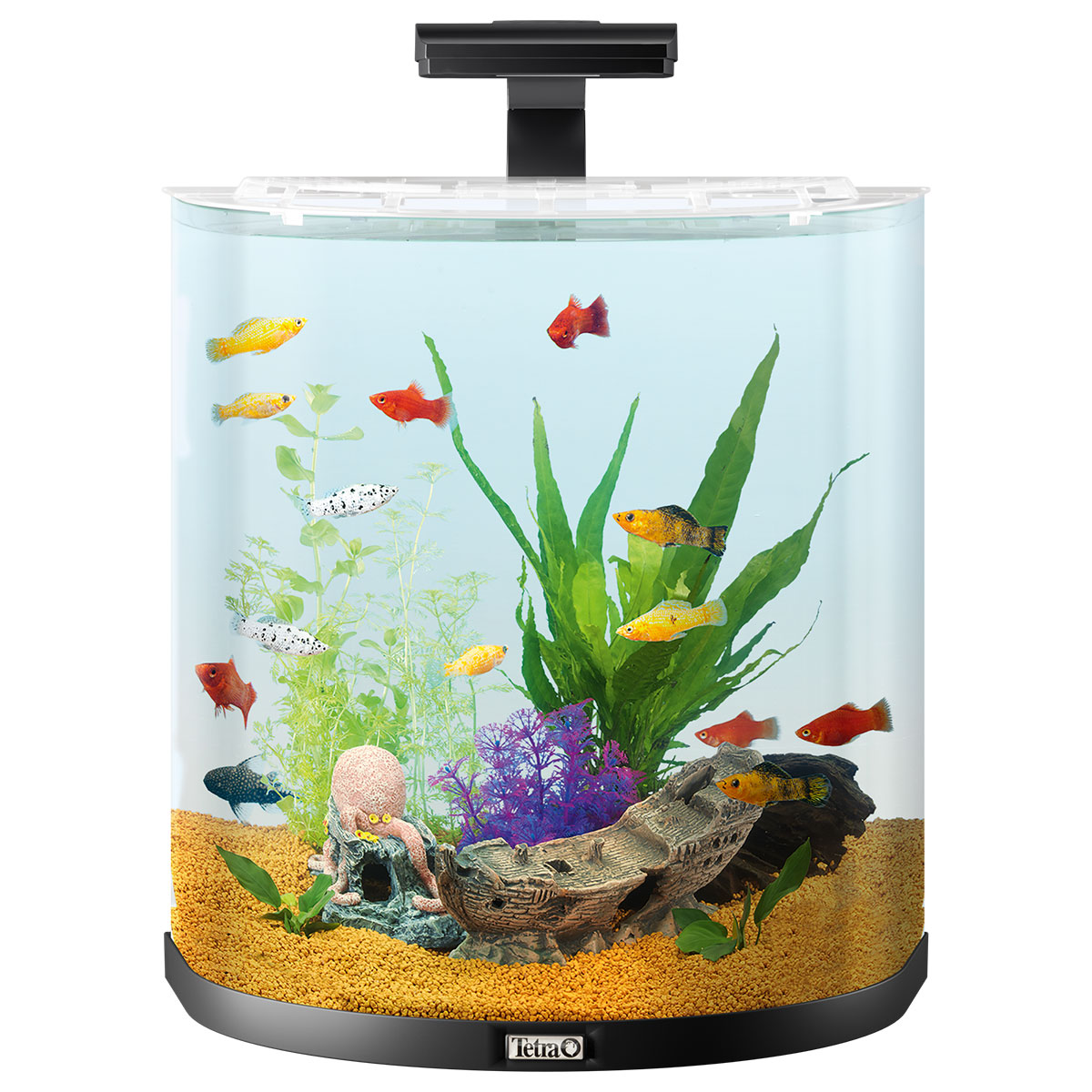 Tetra AquaArt Explorer Line Halfmoon kompletní sada 60 l antracit