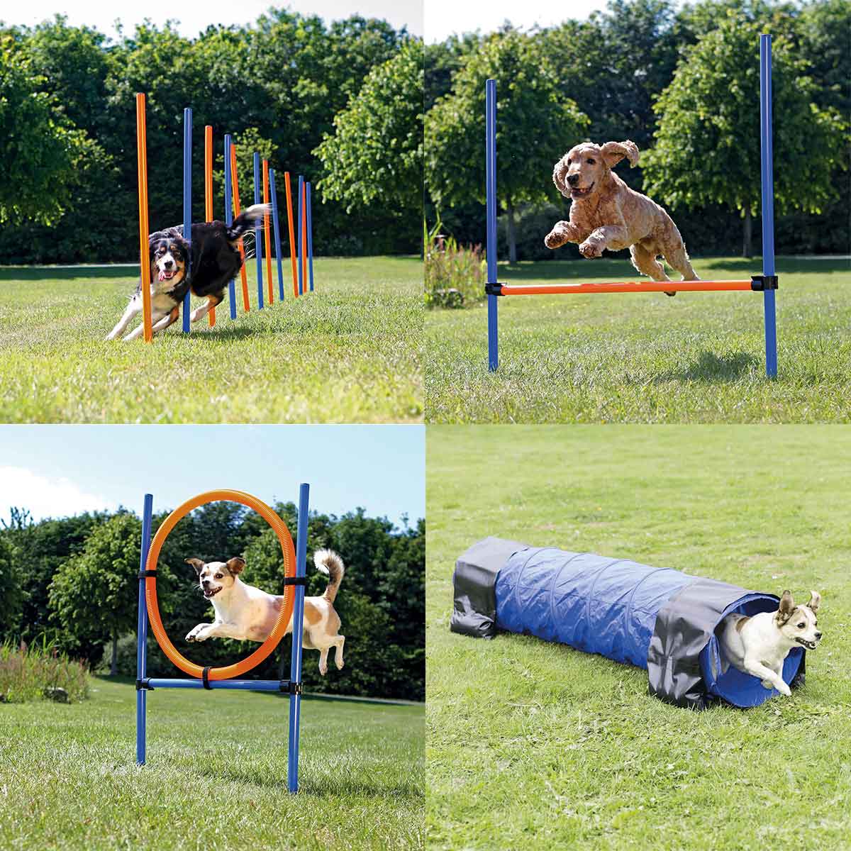 Dog Activity Agility Set vierteilig kaufen bei ZooRoyal