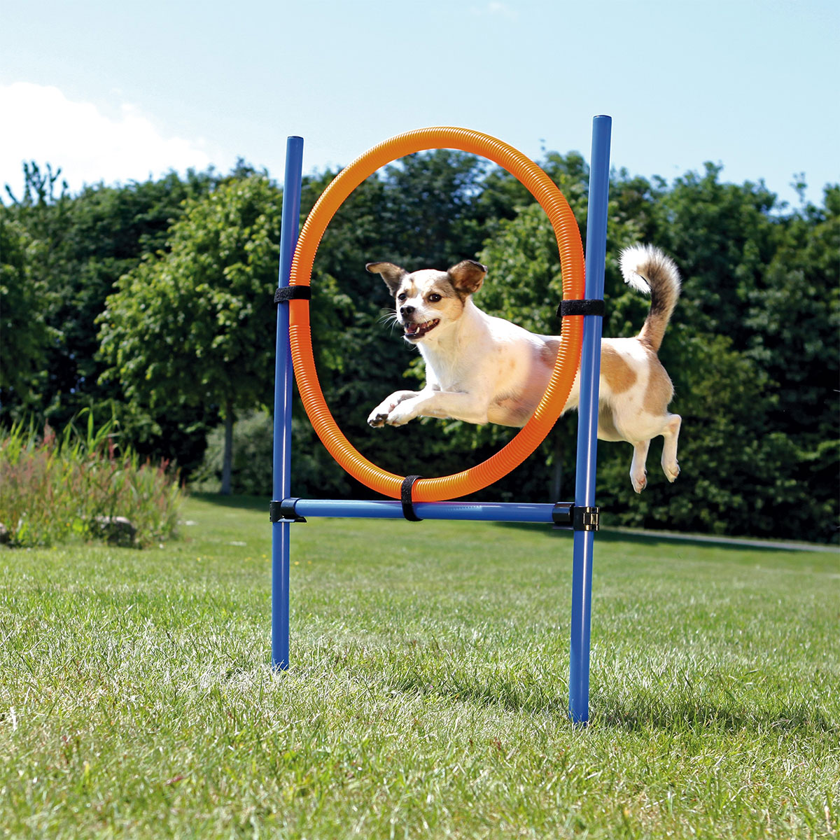 Trixie Dog Activity Agility kruh