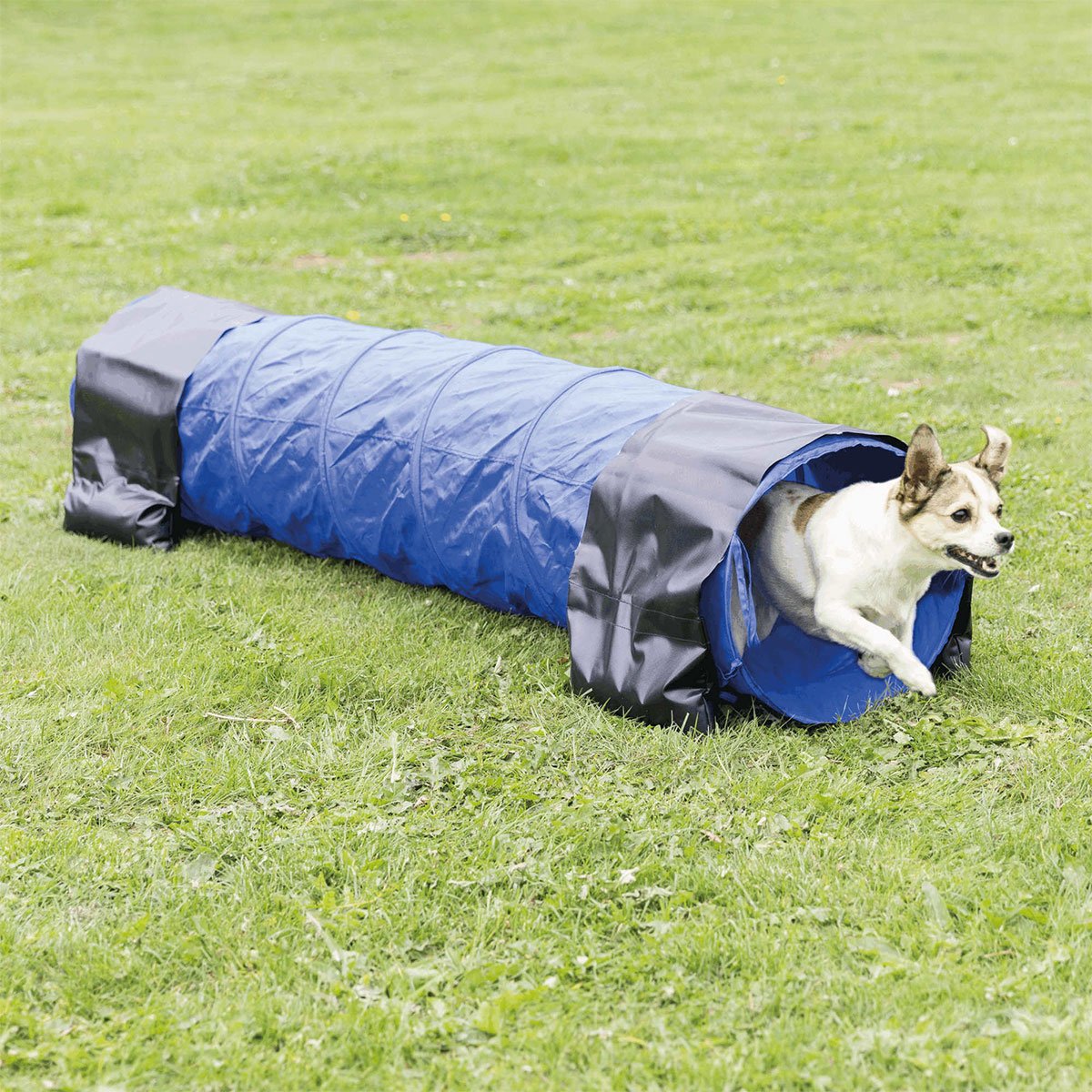 Dog Activity Agility Tunnel, 40cm - 2m