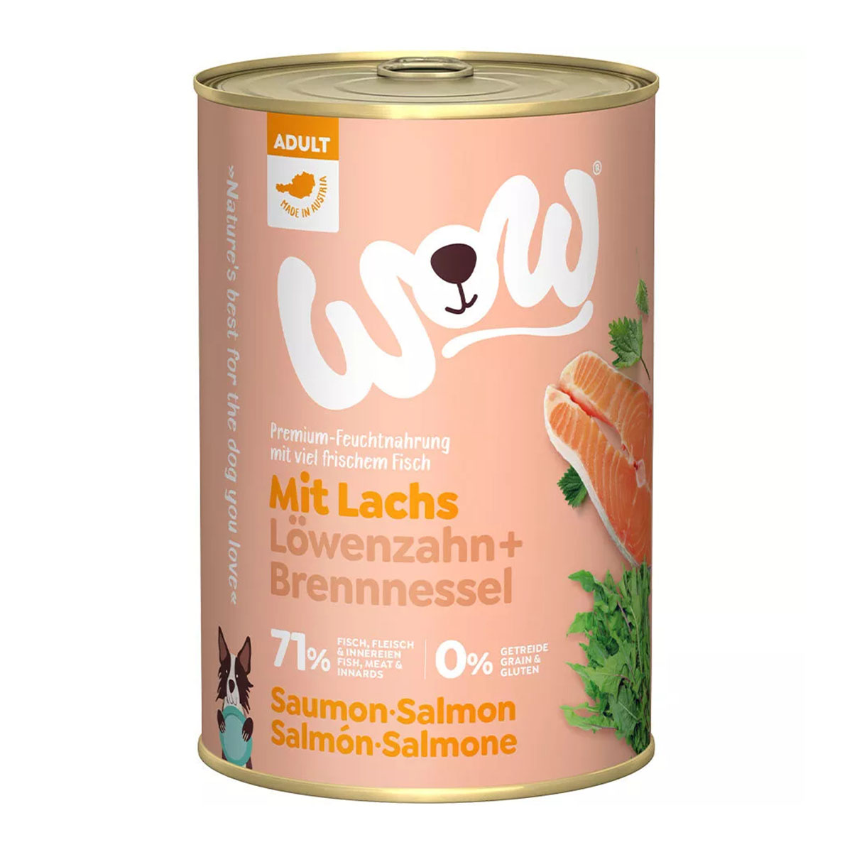 WOW Adult Lachs mit Löwenzahn und Brennnessel 6x400g