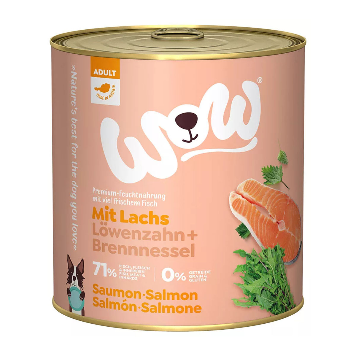 Levně WOW Adult losos 6 × 800 g