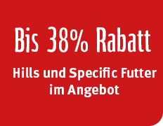 Game for mac torrent